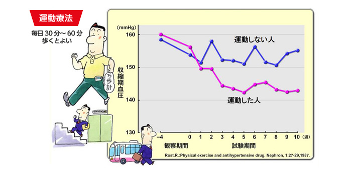 高血圧を水泳で防ぐ 間違いだらけの高血圧治療